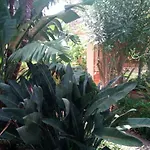 ベッド・アンド・ブレックファスト Stanza In Con Giardino Vista Mare チェファル