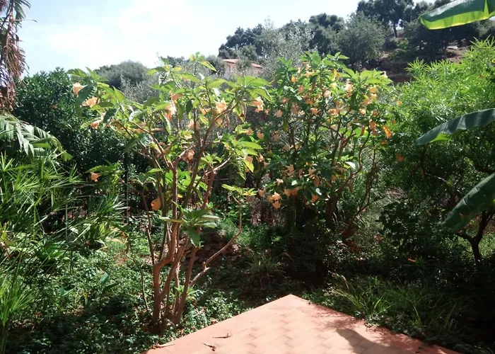 Stanza In Con Giardino Vista Mare Bed and Breakfast *