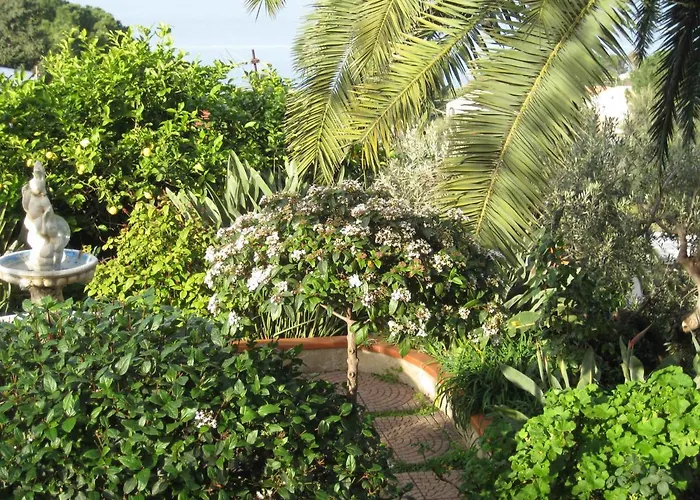 Stanza In Con Giardino Vista Mare