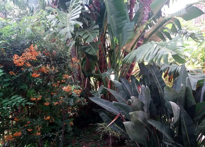 Stanza In Con Giardino Vista Mare Cefalù