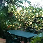 Stanza In Con Giardino Vista Mare Bed & Breakfast