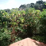 Stanza In Con Giardino Vista Mare Bed & Breakfast *