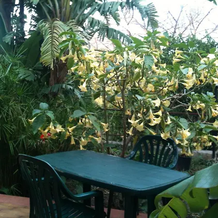 Stanza In Con Giardino Vista Mare Bed & Breakfast
