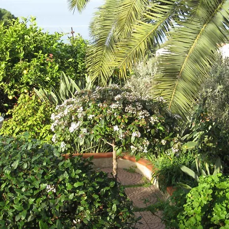 Stanza In Con Giardino Vista Mare