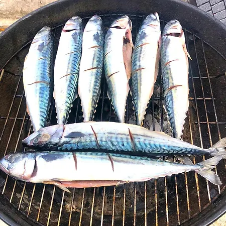 Stanza In Con Giardino Vista Mare * Cefalù