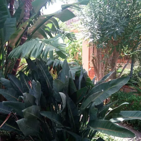 Panzió Stanza In Con Giardino Vista Mare Cefalù