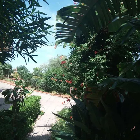 Stanza In Con Giardino Vista Mare * Cefalù